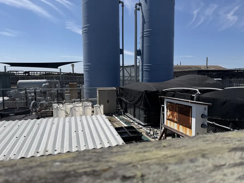 Shot over the fence rail: the seawater system that runs the whole operation. The two big blue towers are almost certainly head tanks — seawater pumped up high so gravity can feed every tank below, water-tower logic applied to an aquarium. Below them, the working clutter of a living collection: culture buckets each trailing its own airline, shade cloth over the cold-water residents, a PVC manifold with a valve per tank, and salt air slowly eating a steel cabinet alive.