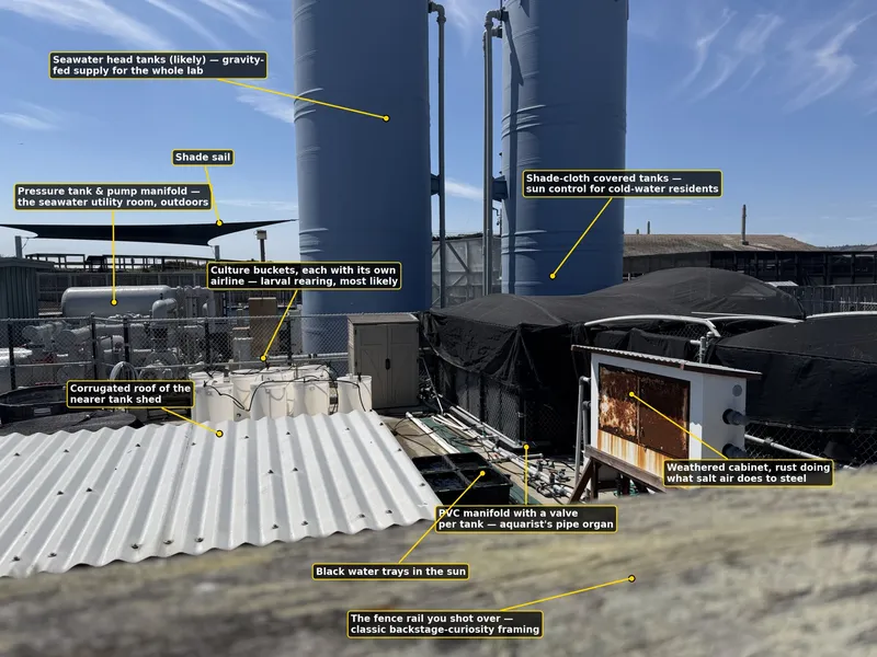 The labeled version — ten callouts from head tanks to the fence rail itself, with the "(likely)" hedges kept honest.